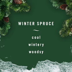 Febreze Small Spaces Air Freshener Limited Edition Scents Winter Spruce  2 Pack