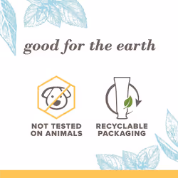 Burt's Bees Extra White Toothpaste  Fluoride Toothpaste  Natural Flavor  Mountain Mint  4.7 oz  Pack of 3