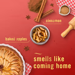 Air Apple Cider  Cranberry Tart  Fresh Baked Vanilla  8.8 oz  Pack of 3