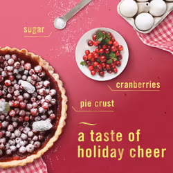 Air Apple Cider  Cranberry Tart  Fresh Baked Vanilla  8.8 oz  Pack of 3