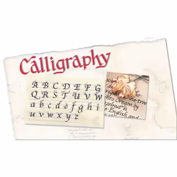 STAEDTLER double ended calligraphy markers  calligraph duo  for narrow