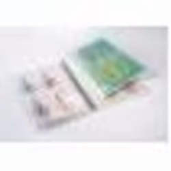 GBC Organise Laminating Pouches 2x125 Micron Gloss A4+ (100)