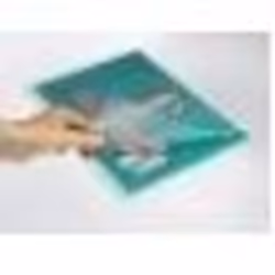 GBC Organise Laminating Pouches 2x125 Micron Gloss A4+ (100) - Additional view 4