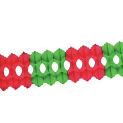 Beistle 55035-RG party decoration Garland