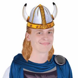 Beistle 66533 fancy dress prop/accessory Fancy dress hat