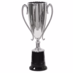 Beistle 57379-S, Silver, 1 pc(s)