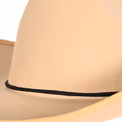 Beistle 66522 fancy dress prop/accessory Fancy dress hat