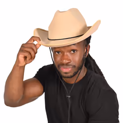 Beistle 66522 fancy dress prop/accessory Fancy dress hat