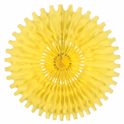 Beistle 55293-CN, 1 pc(s)