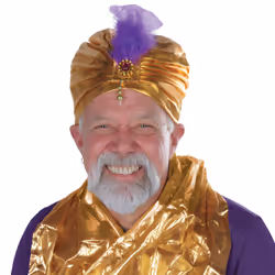 Beistle 60669 fancy dress prop/accessory Fancy dress hat