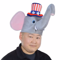 Beistle 66035 fancy dress prop/accessory Fancy dress hat