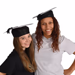 Beistle 66515 fancy dress prop/accessory Fancy dress hat