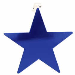Beistle 55838-B party decoration
