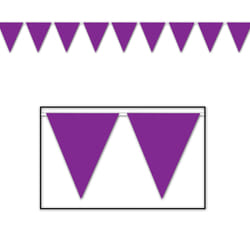 Beistle 50708-PL party decoration Bunting banner
