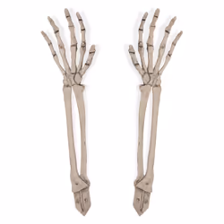 Beistle 00844, 2 pc(s)