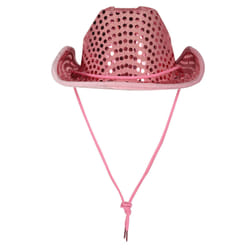 Beistle 66535-P fancy dress prop/accessory Fancy dress hat