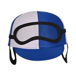 Beistle 66829-B fancy dress prop/accessory Fancy dress hat