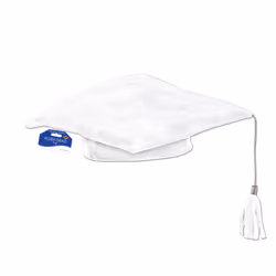 Beistle 50004-W fancy dress prop/accessory Fancy dress hat