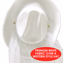 Beistle 60739 fancy dress prop/accessory Fancy dress hat