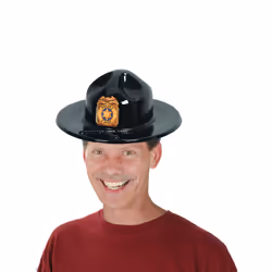 Beistle 66790 fancy dress prop/accessory Fancy dress hat
