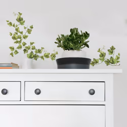 RoomMates RMK1219SCS Evergreen Ivy Peel and Stick Wall Decals