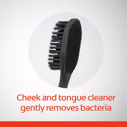 Colgate 360 Charcoal Toothbrush  slimmer Tip Soft Bristles  2 Count