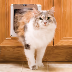 PetSafe Interior Cat Door: 2-Way Locking Indoor Pet Door Flap - Tinted Privacy Door for Cat Litter Box or Pet Feeder Built- ...