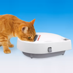 Cat Mate Three Meal Automatic Pet feeder with Digital Timer + Ice Packs