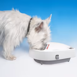 Cat Mate Three Meal Automatic Pet feeder with Digital Timer + Ice Packs
