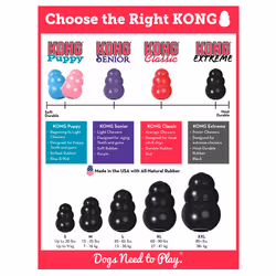 KONG Extreme Dog Toy - Large, Black