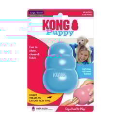 KONG Puppy Teething Chew Toy