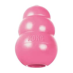 Kong Puppy Dog Toy - Blue or Pink Medium