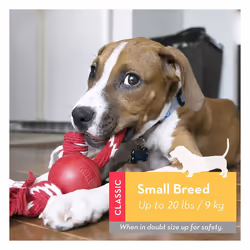 KONG Ball With Rope Dog Toy Small