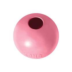 KONG - Puppy Ball - Soft Rubber  Dog Fetch Toy for Teething Pups (Assorted Colors) - for Small Puppies