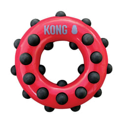 KONG Dotz Circle Dog Toy  Large