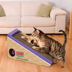 KONG - Naturals Cat Scratcher  Single - Reversible Echo Friendly Material  Premium North American Catnip
