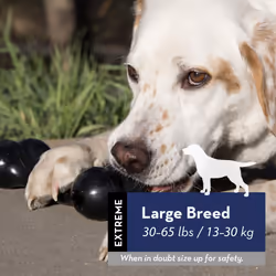 KONG - Extreme Flyer and Extreme Goodie Bone - Tough Dog Toys for Power Chewers - for Large Dogs