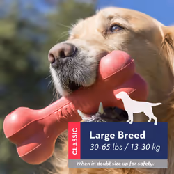 KONG - Goodie Bone and Flyer - Durable Rubber Chew Bone and Flying Disc - for Large Dogs