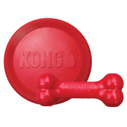 KONG - Goodie Bone and Flyer - Durable Rubber Chew Bone and Flying Disc - for Small Dogs