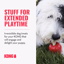 KONG Classic Toy & Ziggies Treats Combo Pack - Durable Chew Toy for Dogs - with Ziggies Chicken-Flavored Treats - Dog Accessories for Fun & Health - f