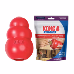 KONG Classic Toy & Ziggies Treats Combo Pack - Durable Chew Toy for Dogs - with Ziggies Chicken-Flavored Treats - Dog Accesso ...