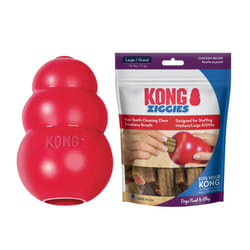 KONG Classic Toy & Ziggies Treats Combo Pack - Durable Chew Toy for Dogs - with Ziggies Chicken-Flavored Treats - Dog Accessories for Fun & Health - f