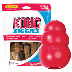 KONG Classic Toy & Ziggies Treats Combo Pack - Durable Chew Toy for Dogs - with Ziggies Chicken-Flavored Treats - Dog Accessories for Fun & Health - f