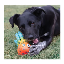 KONG Shieldz Tropics Octopus Dog Toy Medium