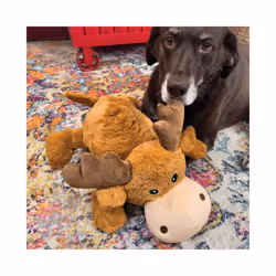 Kong Cozie Jumbo Marvin The Moose - XL Sized Plush Dog Toy for Large and X-Large Breeds
