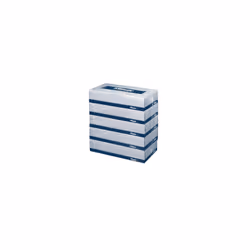 Kleenex(R) 2-Ply Facial Tissue Flat 100 Count (Pack of 5)