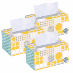 Kleenex Trusted Care White Facial Tissue 160 2-Ply Tissues (Pack of