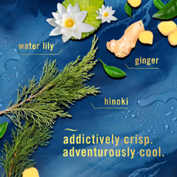 Febreze Air Mist Air Freshener Spray  Odor-Fighting Room Spray  Air Fresheners for Home and Bathroom and Kitchen  Aerosol Can  Ocean Scent  8.8oz  1 C