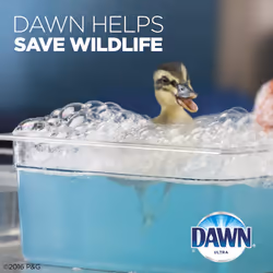 Dawn Ultra Dishwashing Liquid Dish Soap Original Scent  Two 21.6 oz Bottles