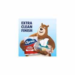 Charmin Flushable Wet Wipes for Adults and Kids  12 Flip-Top Packs  40 Wipes Per Pack 480 Wipes Total